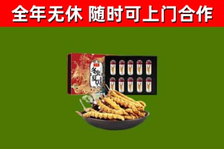鹿城烟酒回收冬虫夏草礼盒.jpg